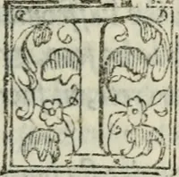 An illustration from Il commodo : comedia d'Antonio Landi con i suoi intermedii : recitata nelle nozze de l'illustriss. & eccellentiss. s. il S. Duca di Firenze l'anno 1539 (1566)