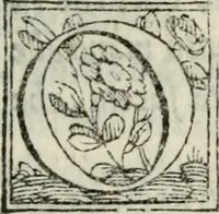 An illustration from Il commodo : comedia d'Antonio Landi con i suoi intermedii : recitata nelle nozze de l'illustriss. & eccellentiss. s. il S. Duca di Firenze l'anno 1539 (1566)
