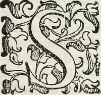 Picture 37 of 54 from Il compendio della mvsica, nel qvale brevemente si tratta dell' arte del contrapunto, diviso in qvatro libri (1588), leaf 114