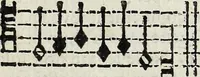 Picture 38 of 54 from Il compendio della mvsica, nel qvale brevemente si tratta dell' arte del contrapunto, diviso in qvatro libri (1588), leaf 116