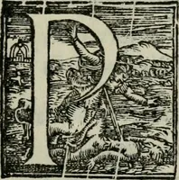 Picture 10 of 18 from Il Constante (1566), leaf 270