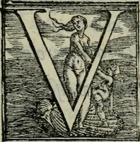 Picture 11 of 18 from Il Constante (1566), leaf 324