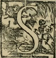 Picture 17 of 18 from Il Constante (1566), leaf 750