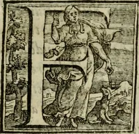 An illustration from Il Coralbo, del cavalier Gio: Francesco Biondi ... Segue la Donzella desterrada .. (1632)