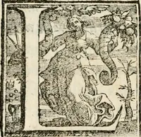 An illustration from Il Coralbo, del cavalier Gio: Francesco Biondi ... Segue la Donzella desterrada .. (1632)
