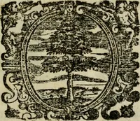 An illustration from Il Coralbo, del cavalier Gio: Francesco Biondi ... Segue la Donzella desterrada .. (1632)