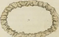 An illustration from Il costume antico e moderno, o, storia del governo, della milizia, della religione, delle arti, scienze ed usanze di tutti i popoli antichi e moderni, provata coi monumenti dell'antichità e rappresentata cogli analoghi disegni dal dottor Giulio Ferrario : America (1826)