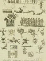 An illustration from Il costume antico e moderno, o, storia del governo, della milizia, della religione, delle arti, scienze ed usanze di tutti i popoli antichi e moderni, provata coi monumenti dell'antichità e rappresentata cogli analoghi disegni dal dottor Giulio Ferrario : America (1826)