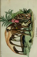 An illustration from Il costume antico e moderno, o, storia del governo, della milizia, della religione, delle arti, scienze ed usanze di tutti i popoli antichi e moderni, provata coi monumenti dell'antichità e rappresentata cogli analoghi disegni dal dottor Giulio Ferrario : America (1826)