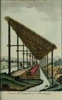 Picture 44 of 92 from Il costume antico e moderno, o, storia del governo, della milizia, della religione, delle arti, scienze ed usanze di tutti i popoli antichi e moderni, provata coi monumenti dell'antichità e rappresentata cogli analoghi disegni dal dottor Giulio Ferrario : America (1826), leaf 441