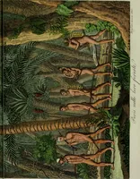 Picture 50 of 92 from Il costume antico e moderno, o, storia del governo, della milizia, della religione, delle arti, scienze ed usanze di tutti i popoli antichi e moderni, provata coi monumenti dell'antichità e rappresentata cogli analoghi disegni dal dottor Giulio Ferrario : America (1826), leaf 477