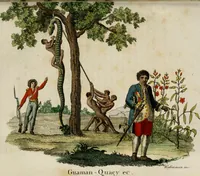 Picture 63 of 92 from Il costume antico e moderno, o, storia del governo, della milizia, della religione, delle arti, scienze ed usanze di tutti i popoli antichi e moderni, provata coi monumenti dell'antichità e rappresentata cogli analoghi disegni dal dottor Giulio Ferrario : America (1826), leaf 570