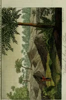An illustration from Il costume antico e moderno, o, storia del governo, della milizia, della religione, delle arti, scienze ed usanze di tutti i popoli antichi e moderni, provata coi monumenti dell'antichità e rappresentata cogli analoghi disegni dal dottor Giulio Ferrario : America (1826)