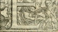 Picture 47 of 108 from Il Decameron di Messer G. Boccacci cittadino fiorentino (1573), leaf 284
