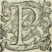 An illustration from Il devotissimo viaggio di Gervsalemme (1587)