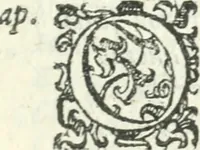 An illustration from Il Donzello (1585)