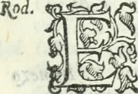 An illustration from Il Donzello (1585)