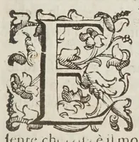 An illustration from Il dottissimo passatempo (1627)