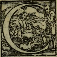 Picture 36 of 63 from Il duello del Mutio Iustinopolitano .. (1550), leaf 114