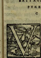 Picture 37 of 63 from Il duello del Mutio Iustinopolitano .. (1550), leaf 116