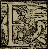 An illustration from Il duello del Mutio Iustinopolitano .. (1550)