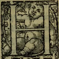 Picture 47 of 63 from Il duello del Mutio Iustinopolitano .. (1550), leaf 146