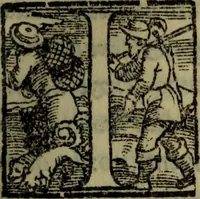 Picture 51 of 63 from Il duello del Mutio Iustinopolitano .. (1550), leaf 160