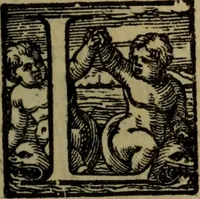 Picture 10 of 63 from Il duello del Mutio Iustinopolitano .. (1550), leaf 28