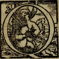 Picture 17 of 63 from Il duello del Mutio Iustinopolitano .. (1550), leaf 49