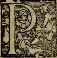 Picture 26 of 63 from Il duello del Mutio Iustinopolitano .. (1550), leaf 75
