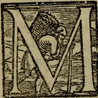 Picture 28 of 63 from Il duello del Mutio Iustinopolitano .. (1550), leaf 85