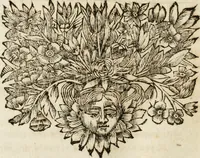 Picture 24 of 29 from Il favore de gli dei : drama fantastico musicale, fatto rappresentare dal serenissimo sig. duca di Parma nel suo Gran Teatro per le felicissime nozze del serenissimo sig. principe Odoardo suo primo genito con la serenissima signora principessa Dorotea Sofia di Neoburgo (1690), leaf 103