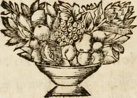 Picture 6 of 29 from Il favore de gli dei : drama fantastico musicale, fatto rappresentare dal serenissimo sig. duca di Parma nel suo Gran Teatro per le felicissime nozze del serenissimo sig. principe Odoardo suo primo genito con la serenissima signora principessa Dorotea Sofia di Neoburgo (1690), leaf 17