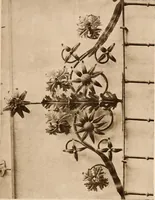 An illustration from Il ferro nell'arte italiana; (1910)