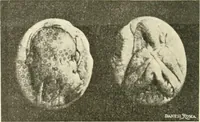 An illustration from Il feticismo primitivo in Italia, e le sue forme di adattamento (1907)