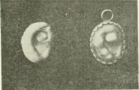 Picture 10 of 58 from Il feticismo primitivo in Italia, e le sue forme di adattamento (1907), leaf 54