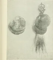 Picture 14 of 58 from Il feticismo primitivo in Italia, e le sue forme di adattamento (1907), leaf 58