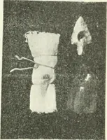 An illustration from Il feticismo primitivo in Italia, e le sue forme di adattamento (1907)