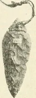 An illustration from Il feticismo primitivo in Italia, e le sue forme di adattamento (1907)