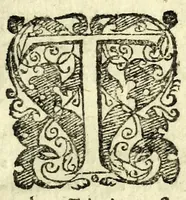 An illustration from Il finto : comedia leggiadra (1601)