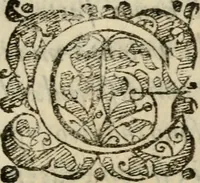An illustration from Il funerale d'Agostin Carraccio : fatto in Bologna sua patria da gl'Incaminati academici del disegno (1603)