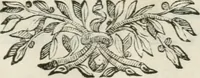 An illustration from Il fuoco nella sua sfera, coronato da' raggi d' Apollo : applausi poetici nell' vnirsi alla fiaccola del Cane Gusmano la fiamma gentilizia della molt' illustre sig. suor Maria Diletta Anna Teresa Piastri, professando nel nobilissimo monastero di S. Guglielmo (1697)