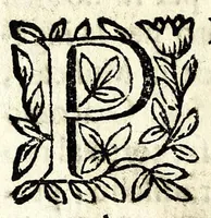 An illustration from Il fvrio Camillo : drama (1683)