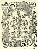 An illustration from Il fvrto : comedia (1564)
