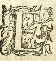 An illustration from Il Garbvglio : comedia (1624)