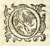 An illustration from Il Garbvglio : comedia (1624)