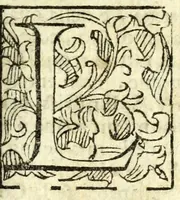 An illustration from Il Garbvglio : comedia (1624)