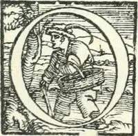 An illustration from Il geloso comedia del S. Hercole Bentivoglio (1544)
