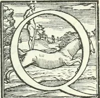 An illustration from Il geloso comedia del S. Hercole Bentivoglio (1544)