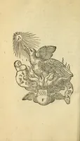 An illustration from Il geloso comedia del s. Hercole Bentiuoglio (1547)